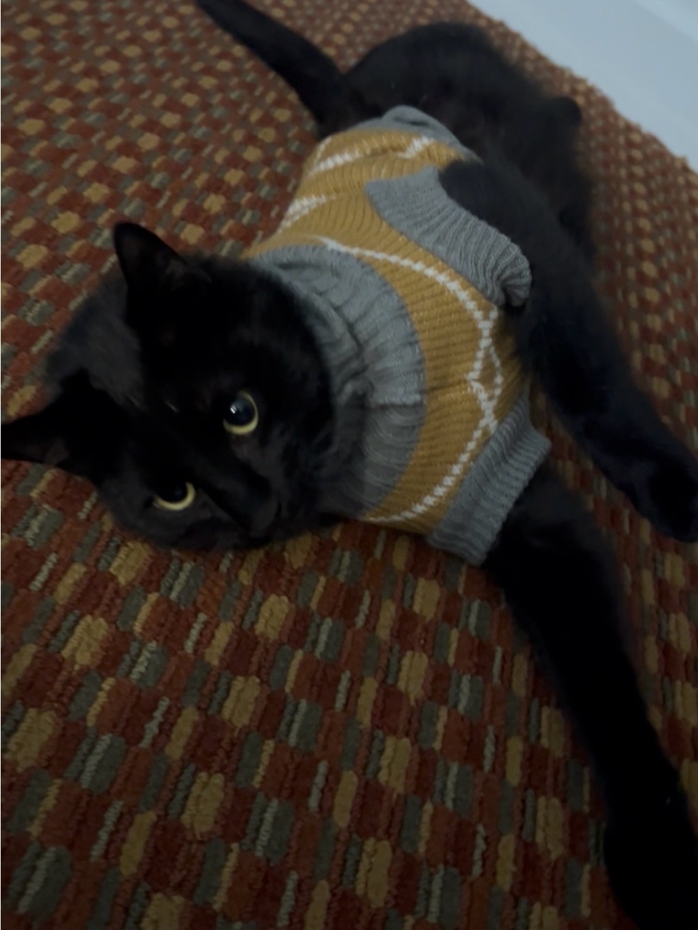 Cozy Argyle Knit Pet Sweater - Mustard & Gray